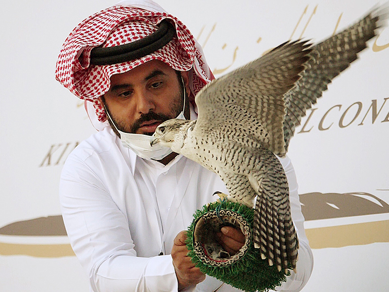 "حلفاء الطبيعة" وثائقي عن الصقارين بالمملكة العربية السعودية